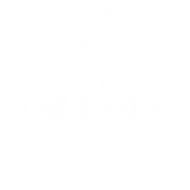 breadsocial